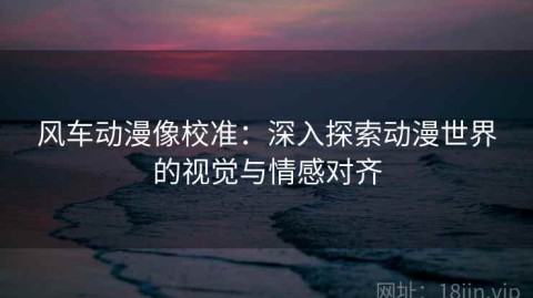 风车动漫像校准：深入探索动漫世界的视觉与情感对齐