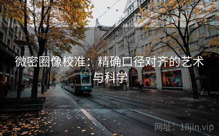 微密圈像校准:精确口径对齐的艺术与科学 微密圈像校准:精确口径对齐的艺术与科学